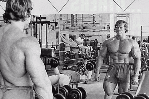 курс стероидов на сухую массу — иллюстрация 2