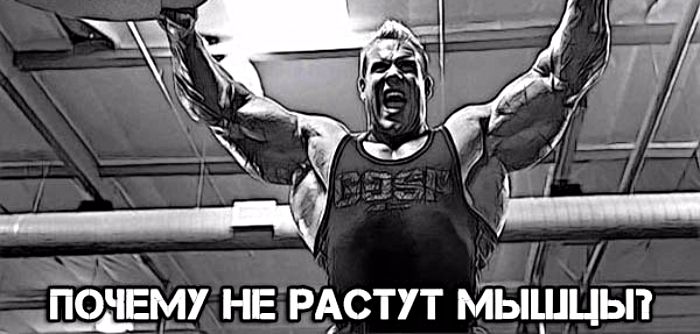 как сохранить мышцы после курса