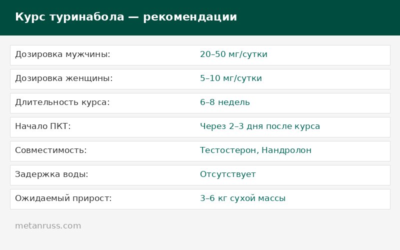 Схема курса туринабола